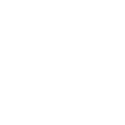 icon of a swimming pool ladder